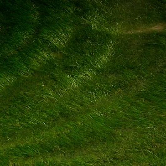 Foto: Flickr, seelensturm
